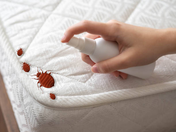 Best Best Pest Control Companies  in Sharpsburg, PA