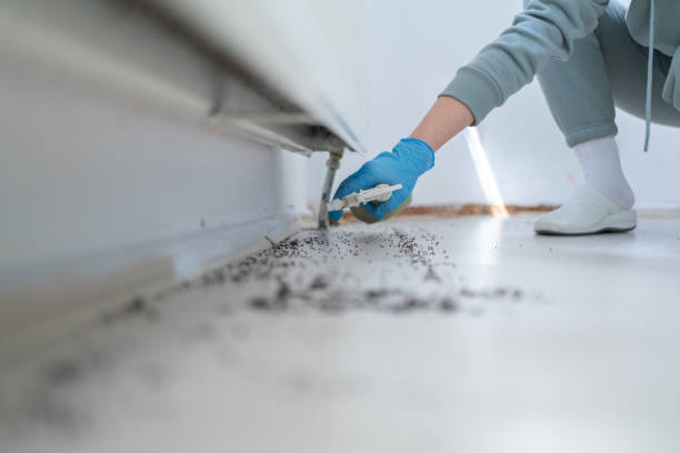 Best Bed Bug Extermination  in Sharpsburg, PA